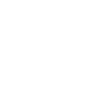 America Icon